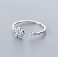 S925silver ring Silver