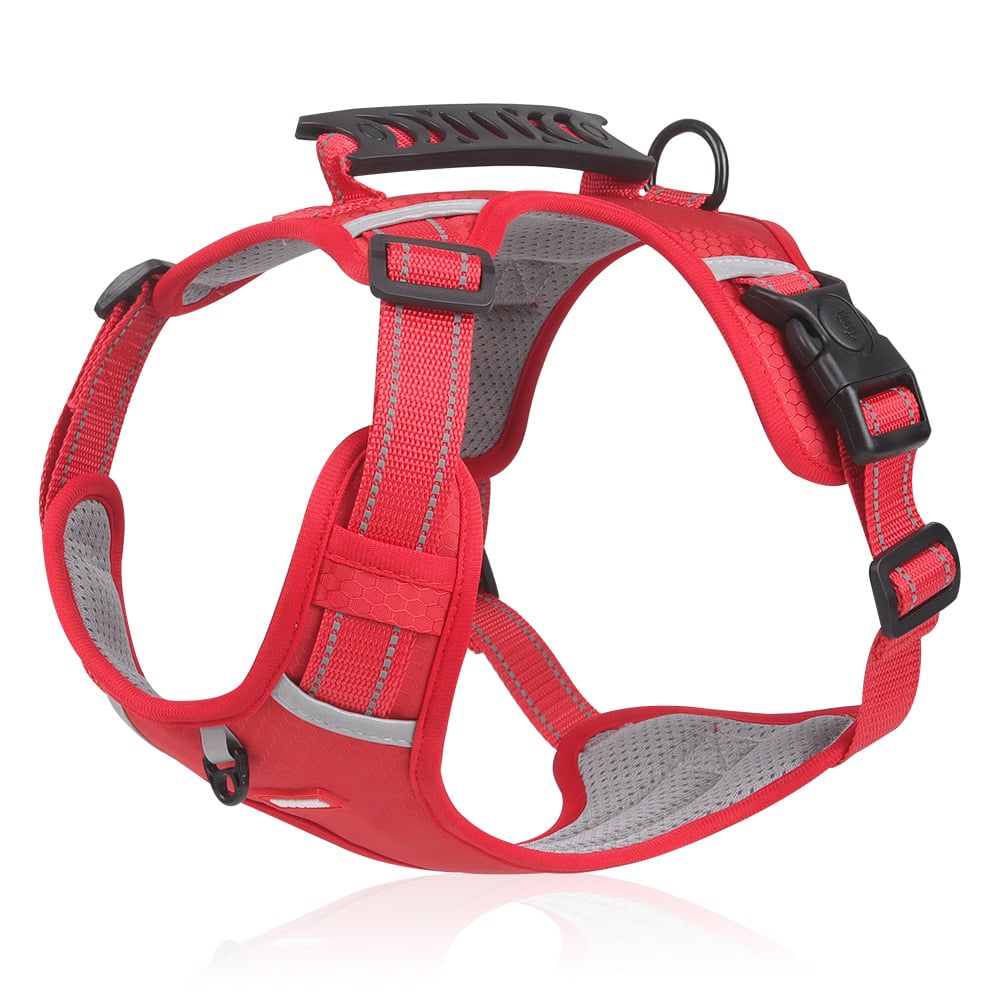 Ergonomisches, Zugfreies Hundegeschirr für ultimativen Komfort und Kontrolle